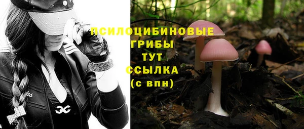 тгк Киренск