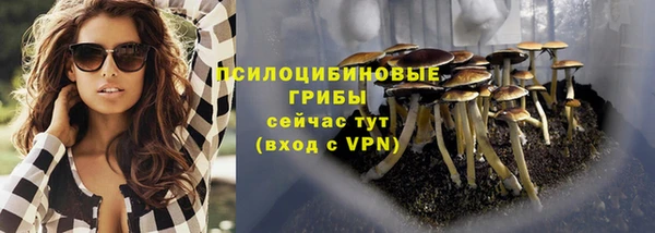 ALPHA PVP Кинешма